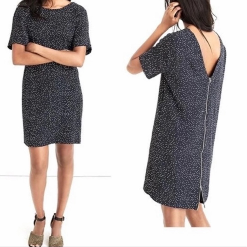 Madewell Polka Dot Scatter Zip-back dress